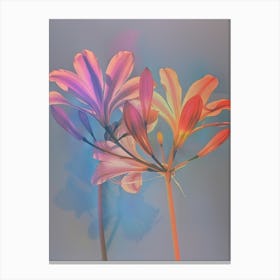 Iridescent Flower Agapanthus 2 Canvas Print