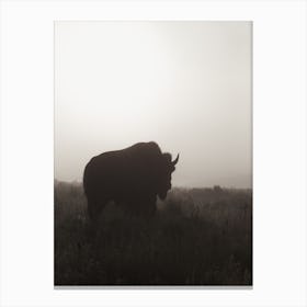 Bison Silhouette Canvas Print