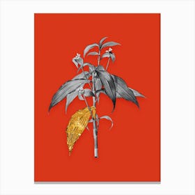 Vintage Commelina Zanonia Black and White Gold Leaf Floral Art on Tomato Red n.0327 Canvas Print