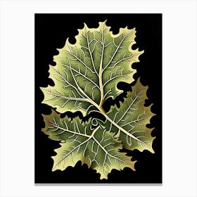 Oak Leaf Vintage Botanical 2 Canvas Print