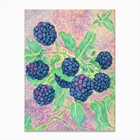 Black Raspberry 1 Vintage Sketch Fruit Canvas Print