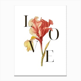 Love Iris Canvas Print