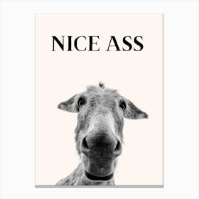 Nice Ass Funny Donkey Bathroom Print Canvas Print