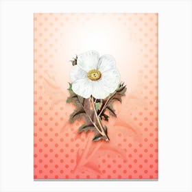 Mexican Poppy Flower Vintage Botanical in Peach Fuzz Polka Dot Pattern n.0339 Canvas Print
