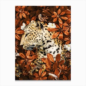 Leopard In Leaves Canvas Print