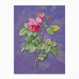 Vintage Pink Bourbon Roses Botanical Illustration on Veri Peri n.0673 Canvas Print