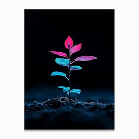 Plant In The Dark 38 Canvas Print