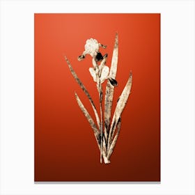Gold Botanical Tall Bearded Iris on Tomato Red n.1195 Canvas Print