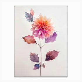 Dahlia Flower Canvas Print