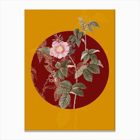 Vintage Botanical Big Flowered Dog Rose on Circle Red on Yellow n.0043 Canvas Print