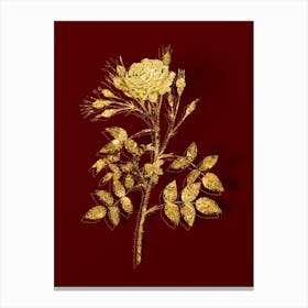 Vintage White Rose of Rosenberg Botanical in Gold on Red n.0473 Canvas Print