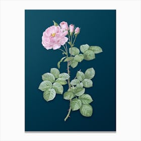 Vintage Damask Rose Botanical Art on Teal Blue Canvas Print
