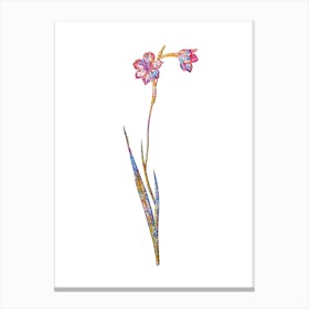 Stained Glass Sword Lily Mosaic Botanical Illustration on White Canvas Print