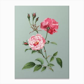 Vintage Ever Blowing Rose Botanical Art on Mint Green n.0991 Canvas Print