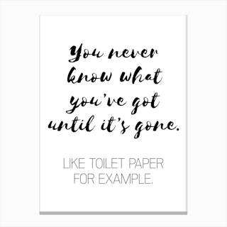 You Never Know What You've Got Like Toilet Paper Canvas Print