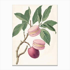 Vintage Macaron Tree Canvas Print