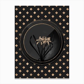Shadowy Vintage Sea Daffodil Botanical in Black and Gold Canvas Print