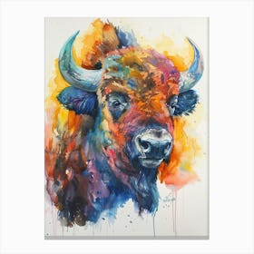 Buffalo Colourful Watercolour 4 Canvas Print
