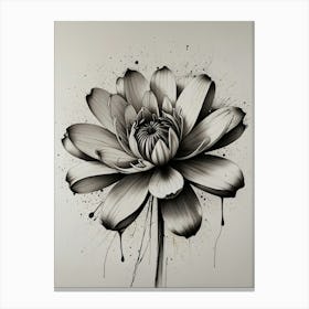 Lotus Flower 6 Canvas Print