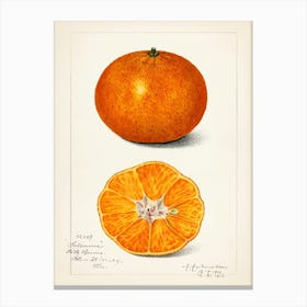 Tangerine 1 Canvas Print