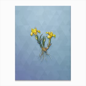 Vintage Sand Iris Botanical Art on Summer Song Blue n.1186 Canvas Print