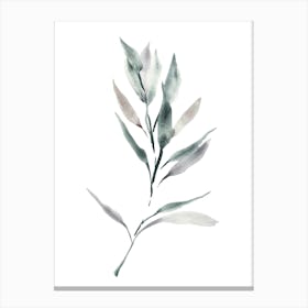 Watercolor Leaf, Sage Green Leaf 6 Canvas Print