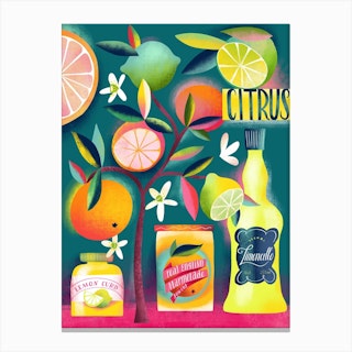 Citrus Love Canvas Print