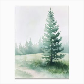 Spruce Tree Atmospheric Watercolour Painting 3 Canvas Print