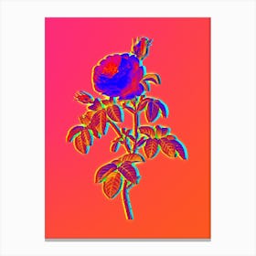 Neon Provence Rose Bloom Botanical in Hot Pink and Electric Blue n.0558 Canvas Print