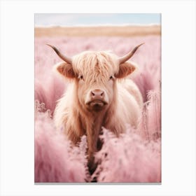 Highland Cow In Field With Long Pink Grass 1 Canvas Print