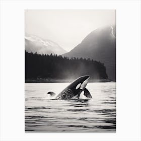 Black & White Icy Mountain Photography Style Of Orca Whale 2 Canvas Print