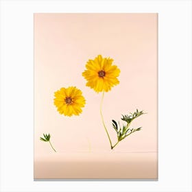 Three Yellow Flowers On A Pink Background Canvas Print