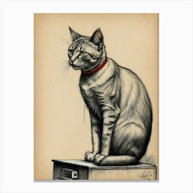 Cat Sitting On A Box Canvas Print