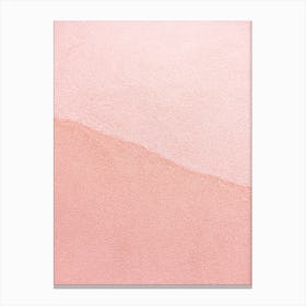 Pastel Pink Duo Canvas Print
