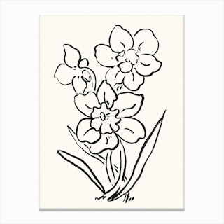 Flower Daffodil Black Canvas Print