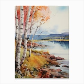 Birches On The River Canvas Print