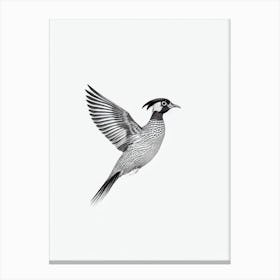 Pheasant B&W Pencil Drawing 3 Bird Canvas Print