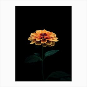 Dahlia 5 Canvas Print