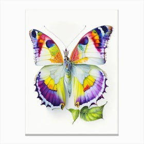 Brimstone Butterfly Decoupage 4 Canvas Print