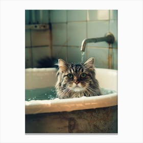 Cat In Bathtub Canvas Print