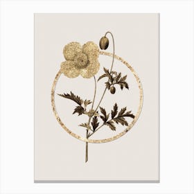 Gold Ring Welsh Poppy Glitter Botanical Illustration n.0028 Canvas Print