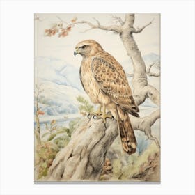Storybook Animal Watercolour Hawk 1 Canvas Print