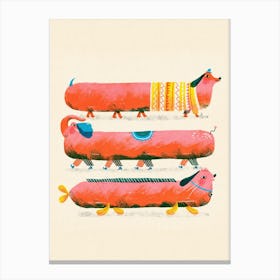 Three Different Sausage Dogs Canvas Print