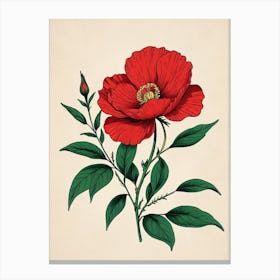 Red Poppy Flower Canvas Print