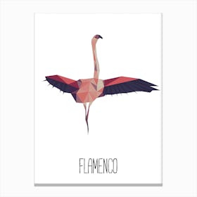 Flamenco Canvas Print