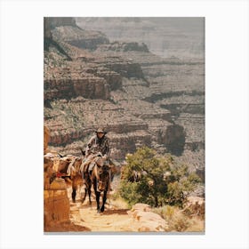 Riding Mules In The Grand Canyon Canvas Print