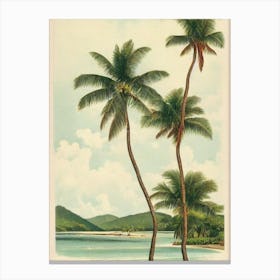 Grande Anse Des Salines Martinique Vintage Canvas Print