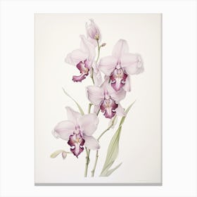 Orchids Flower Vintage Botanical 2 Canvas Print