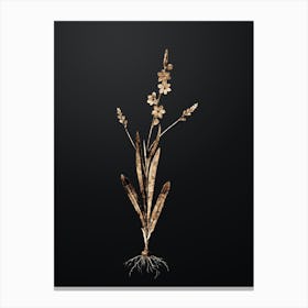 Gold Botanical Ixia Scillaris on Wrought Iron Black n.3380 Canvas Print