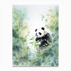 Panda Art Birdwatching Watercolour 3 Canvas Print
